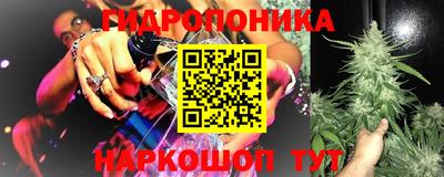 spice Новозыбков